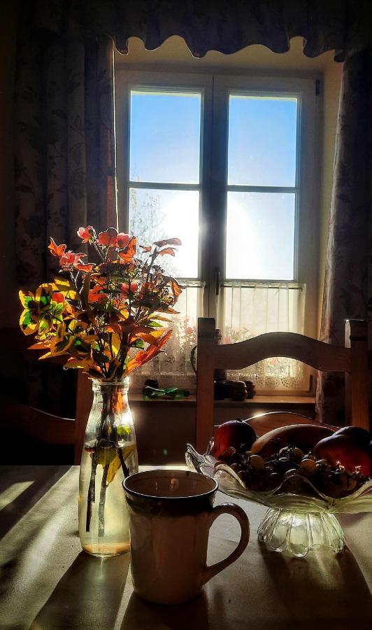 Dwor Na Wichrowym Wzgorzu Bed and Breakfast Przybysławice Exteriör bild