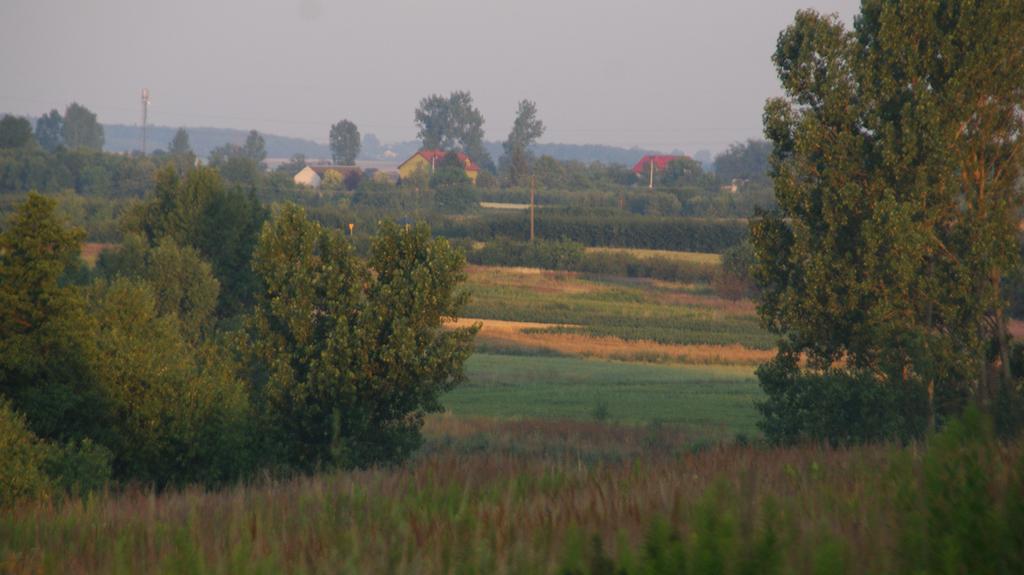 Dwor Na Wichrowym Wzgorzu Bed and Breakfast Przybysławice Exteriör bild
