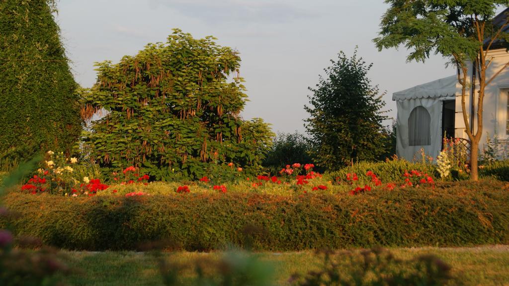 Dwor Na Wichrowym Wzgorzu Bed and Breakfast Przybysławice Exteriör bild