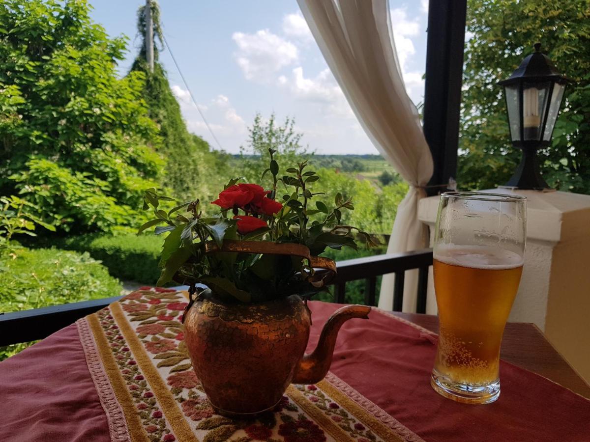 Dwor Na Wichrowym Wzgorzu Bed and Breakfast Przybysławice Exteriör bild