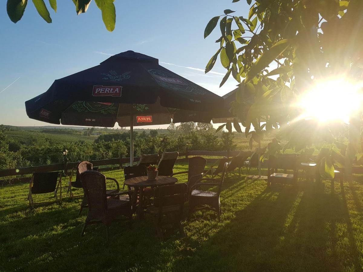 Dwor Na Wichrowym Wzgorzu Bed and Breakfast Przybysławice Exteriör bild