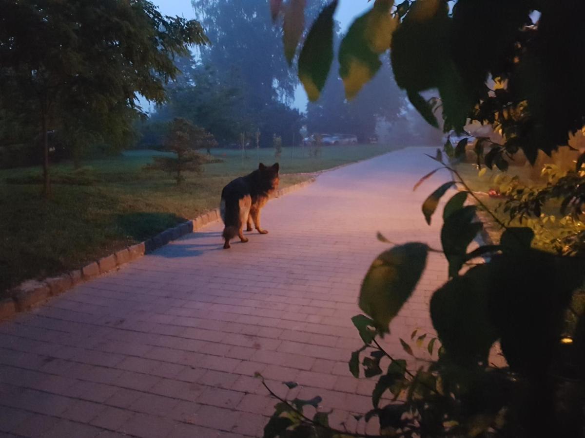 Dwor Na Wichrowym Wzgorzu Bed and Breakfast Przybysławice Exteriör bild